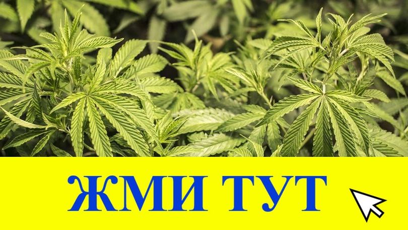 Купить наркотики в Тюмени